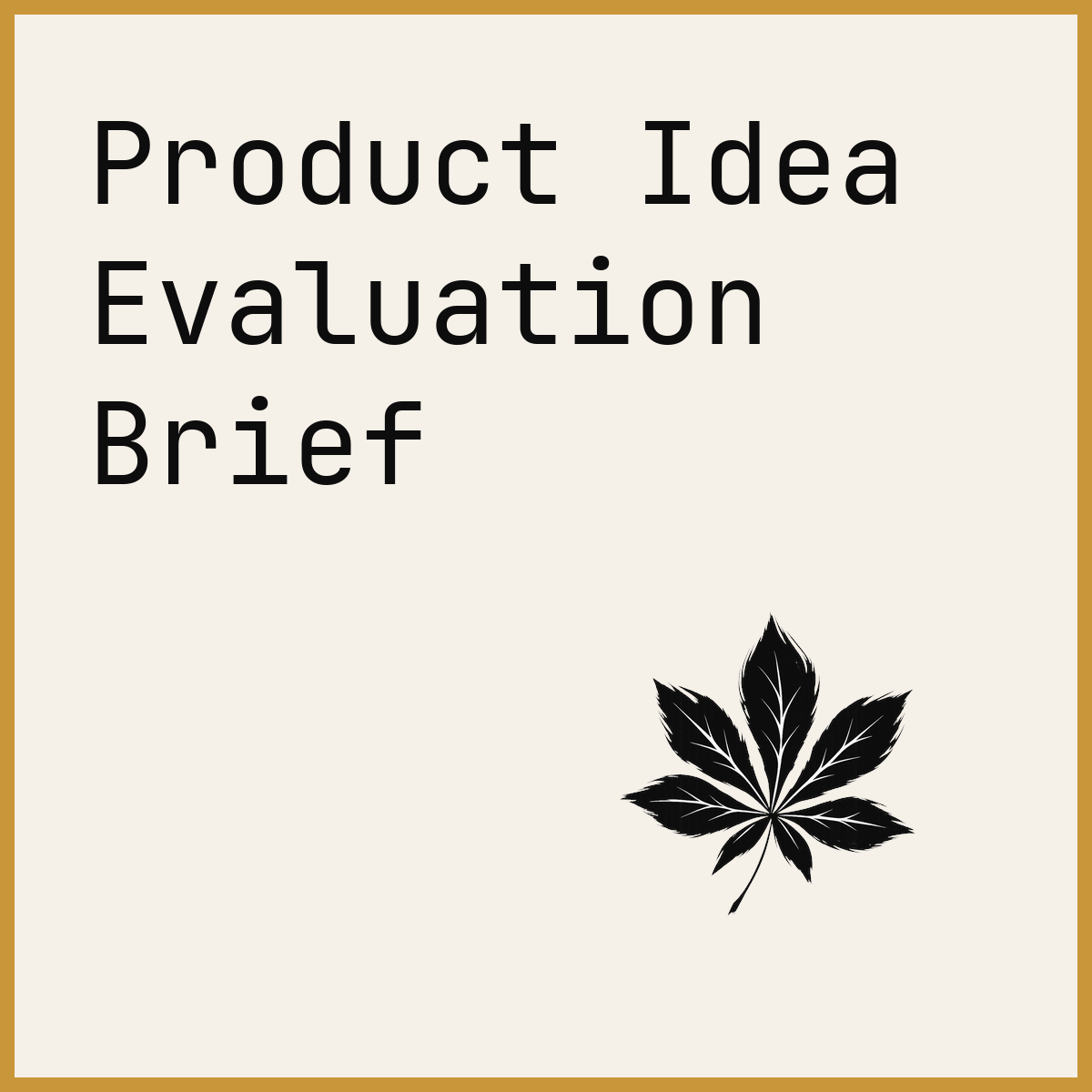 Product Idea Evaluation Brief