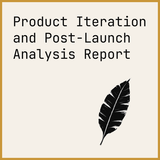 Product Iteration and Post-Launch Analysis Report