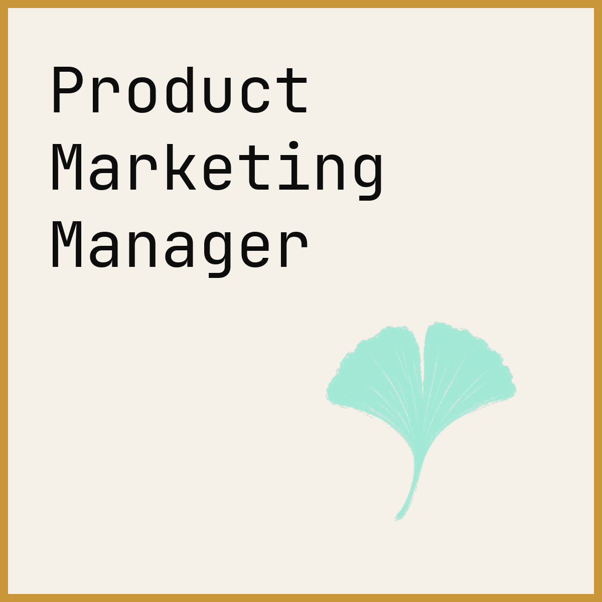 Product Marketing Manager