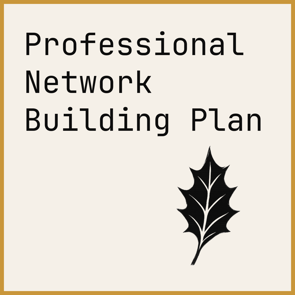 Professional Network Building Plan