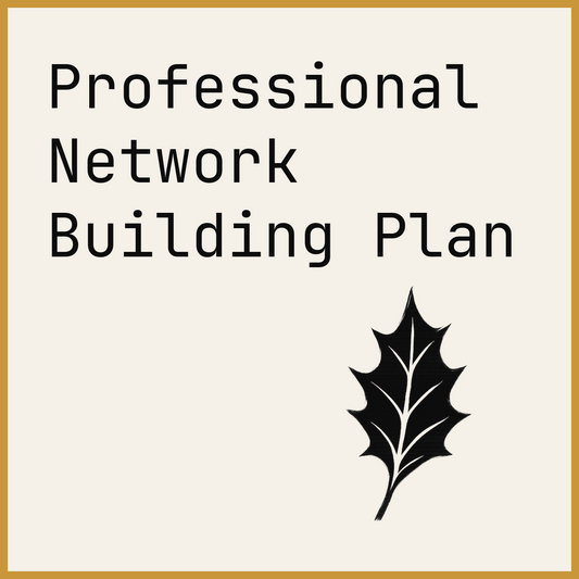 Professional Network Building Plan