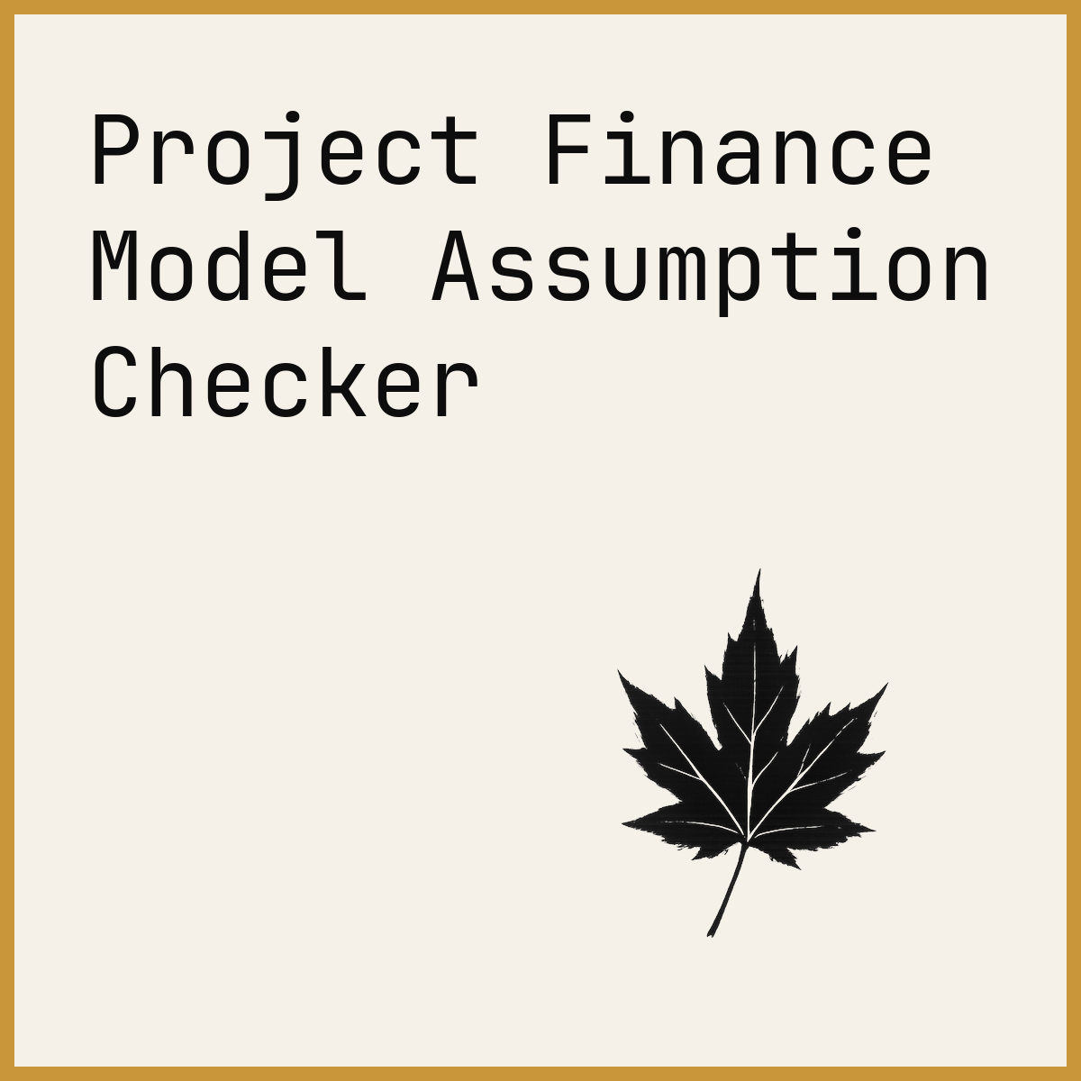 Project Finance Model Assumption Checker