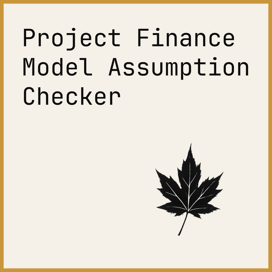 Project Finance Model Assumption Checker