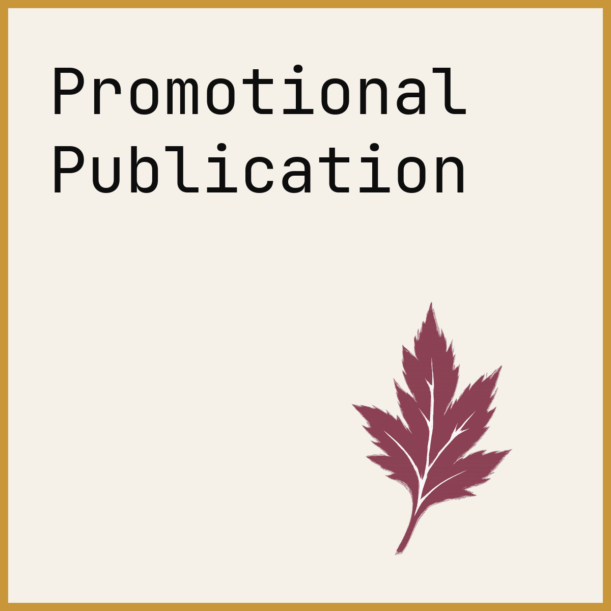 Promotional Publication