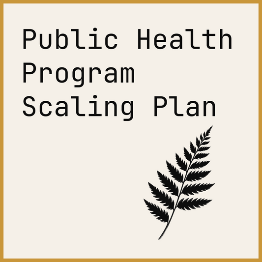 Public Health Program Scaling Plan