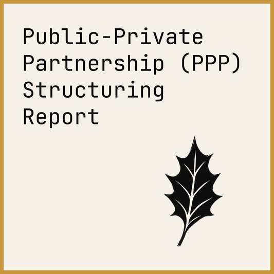 Public-Private Partnership (PPP) Structuring Report