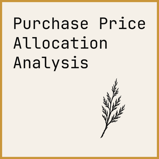Purchase Price Allocation Analysis