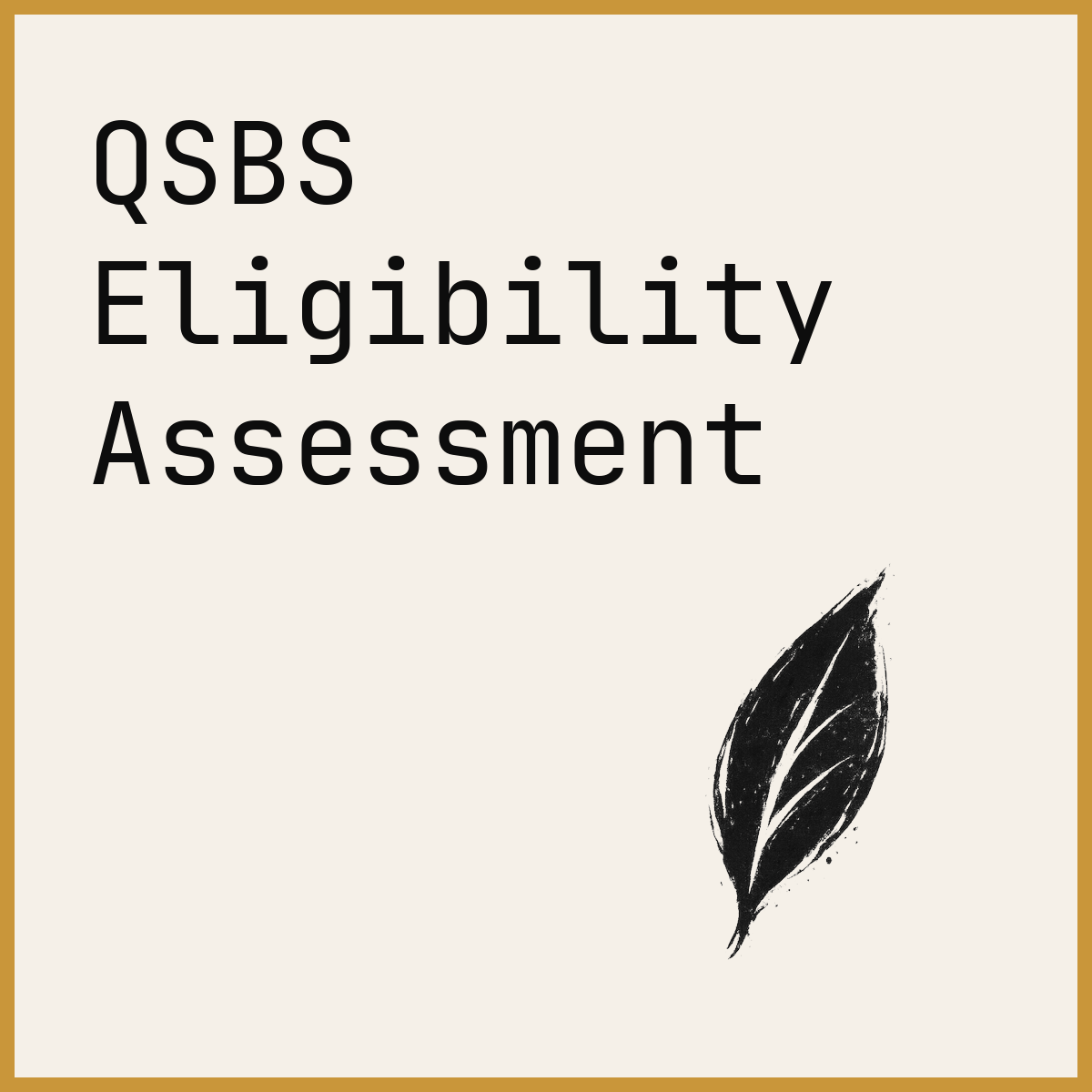 QSBS Eligibility Assessment
