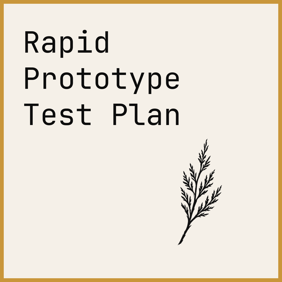 Rapid Prototype Test Plan