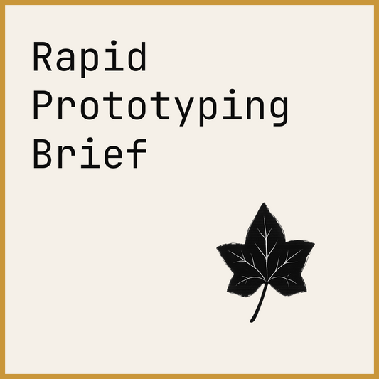 Rapid Prototyping Brief