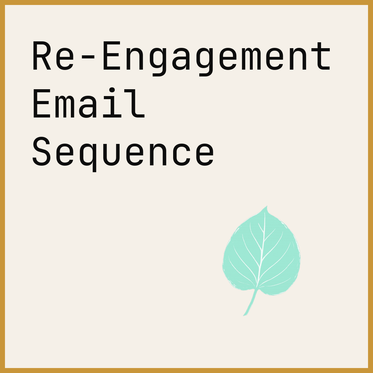 Re-Engagement Email Sequence