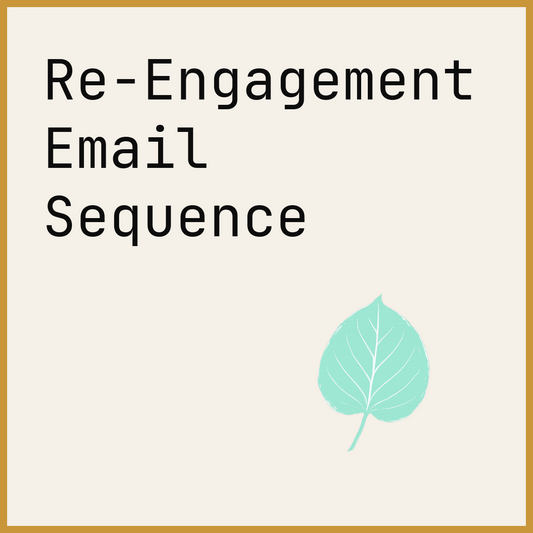Re-Engagement Email Sequence