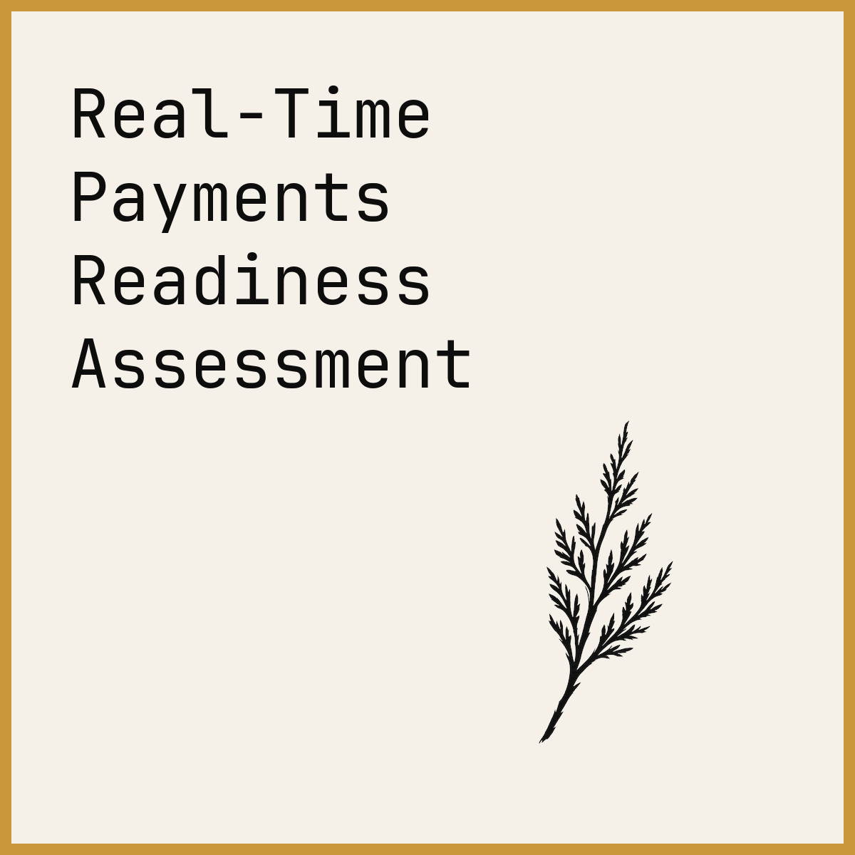Real-Time Payments Readiness Assessment