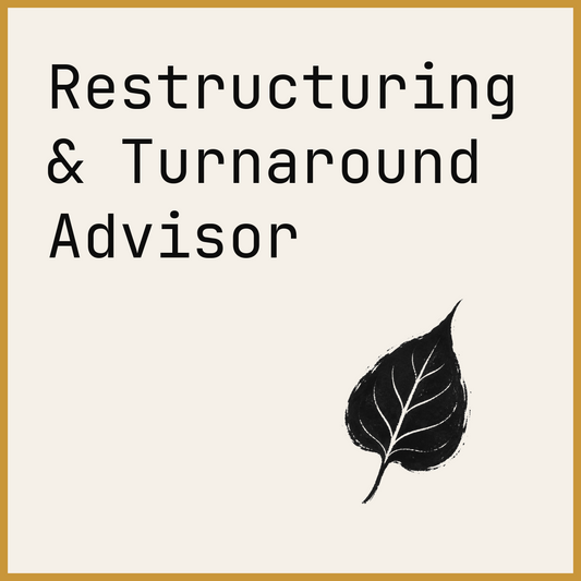 Restructuring & Turnaround Advisor