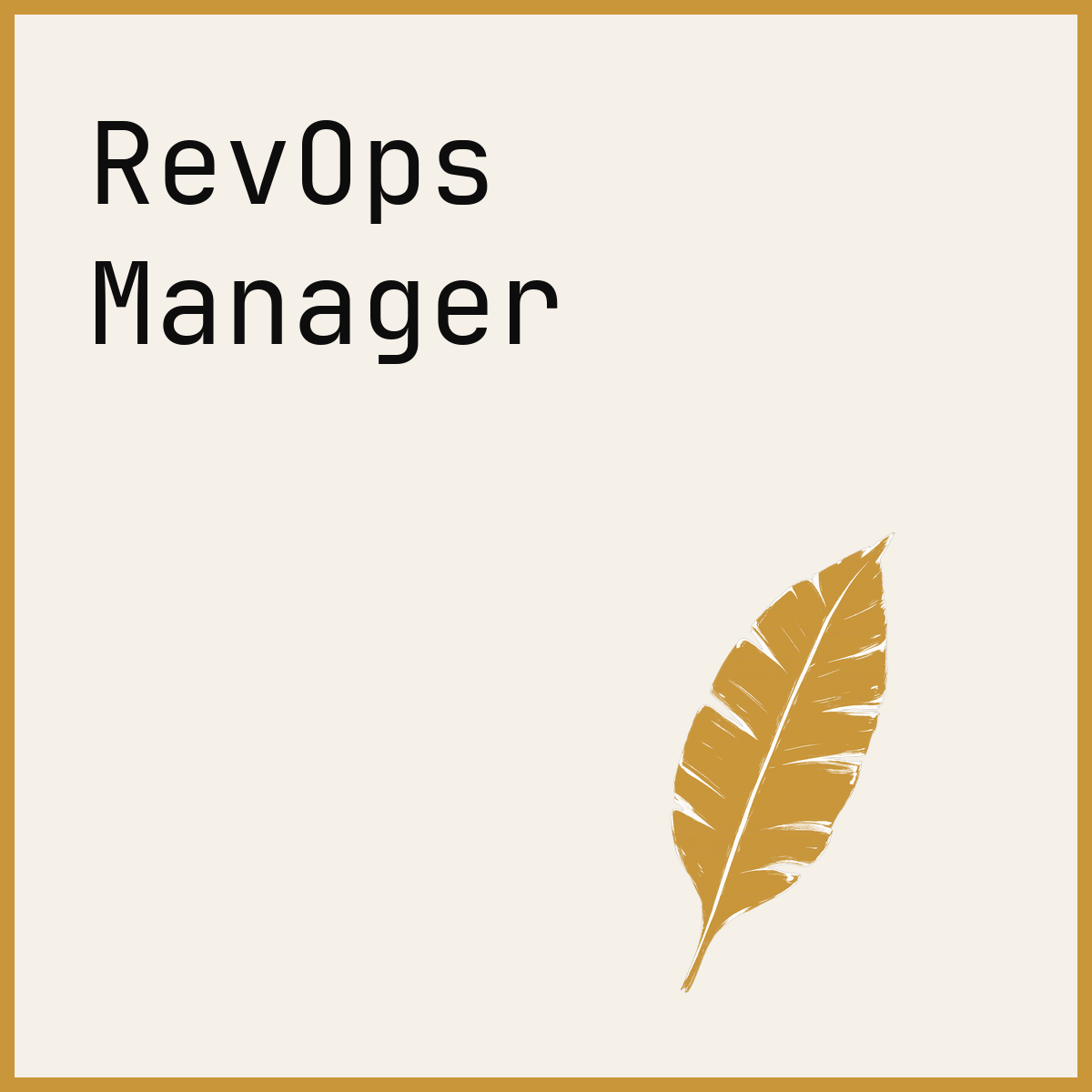 RevOps Manager