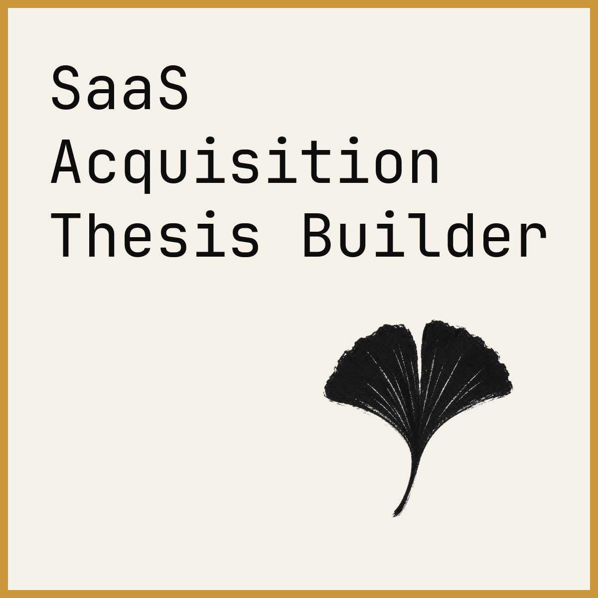 SaaS Acquisition Thesis Builder