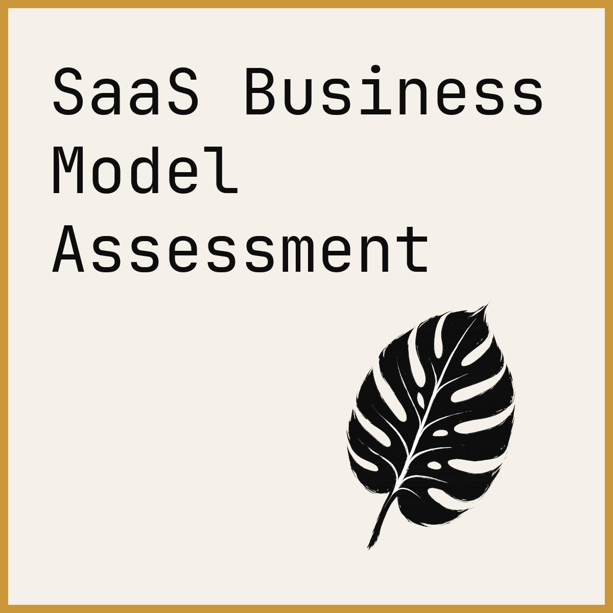 SaaS Business Model Assessment