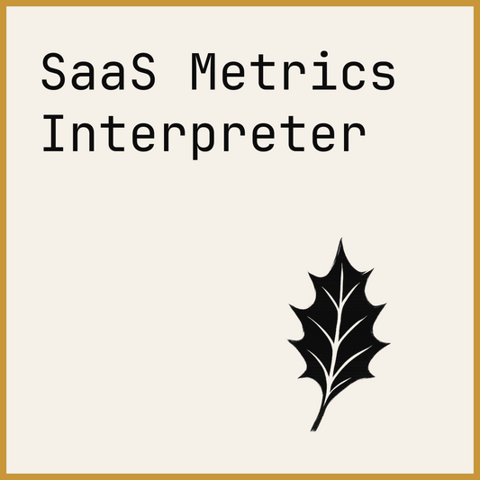 SaaS Metrics Interpreter