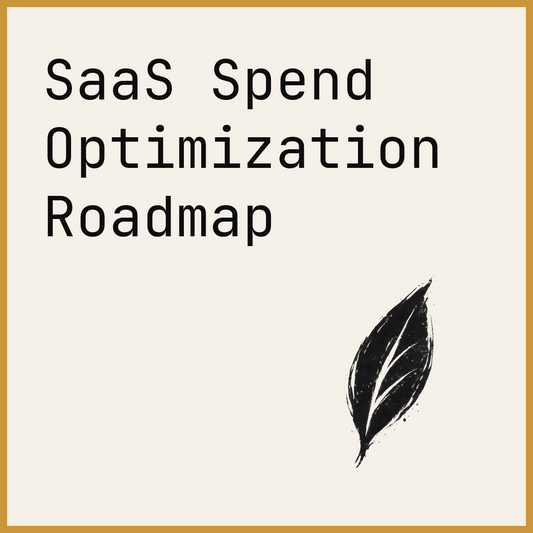 SaaS Spend Optimization Roadmap