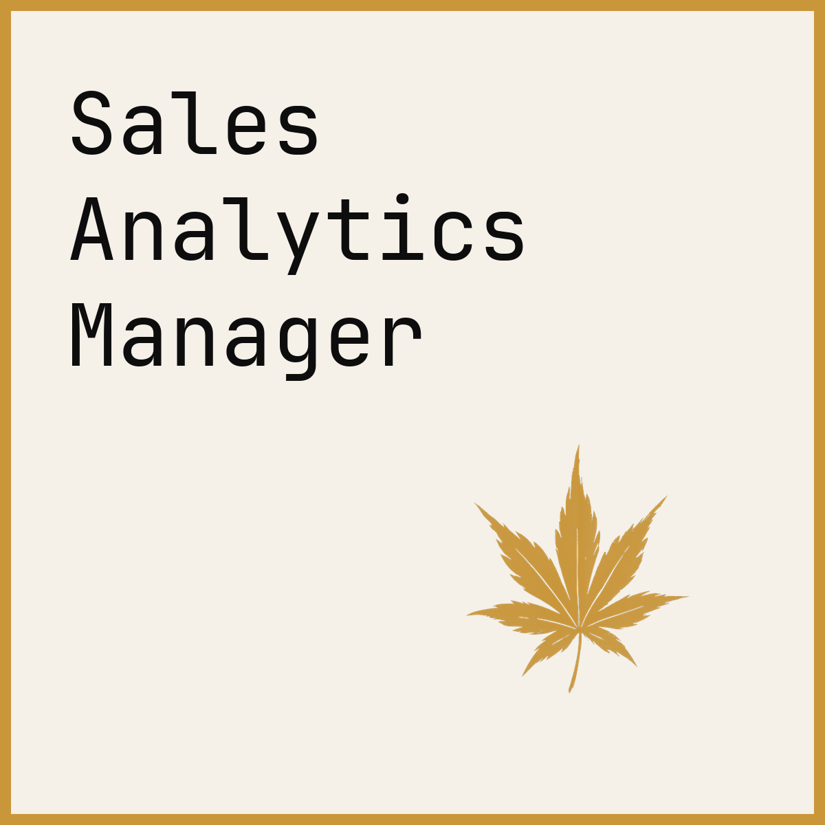 Sales Analytics Manager