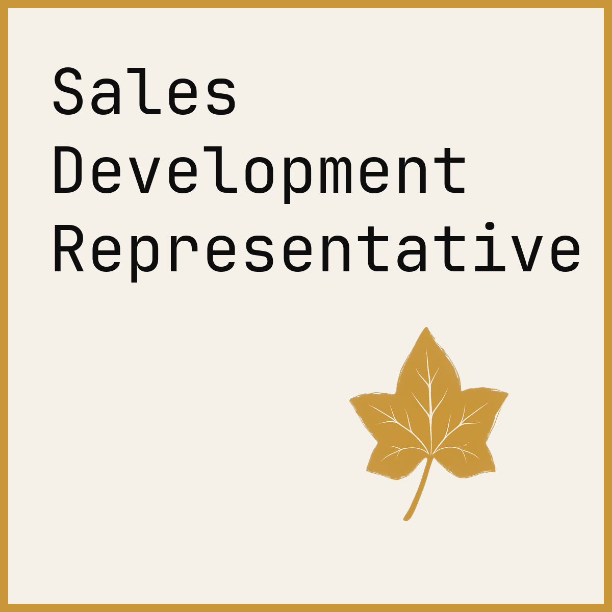 Sales Development Representative