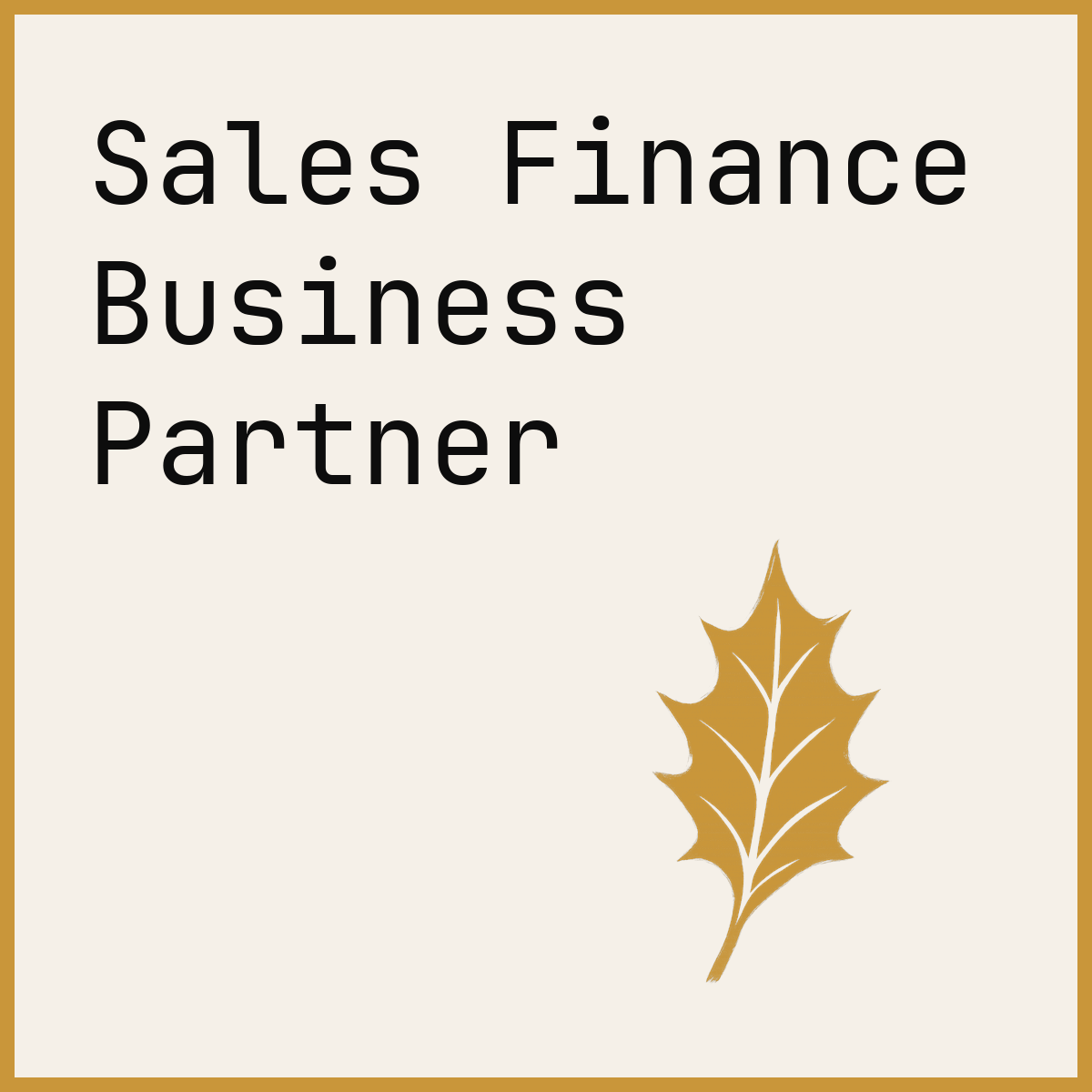 Sales Finance Business Partner