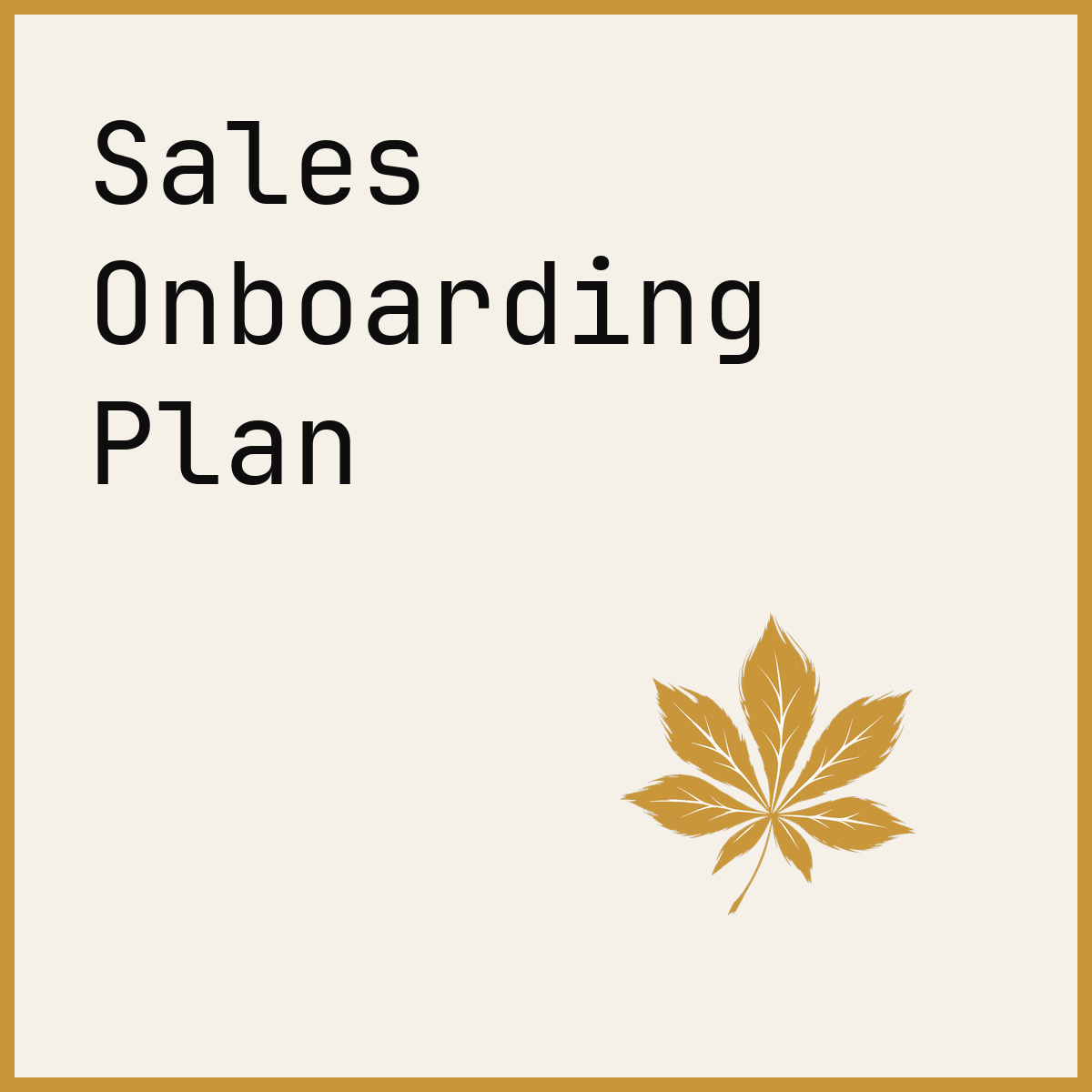 Sales Onboarding Plan