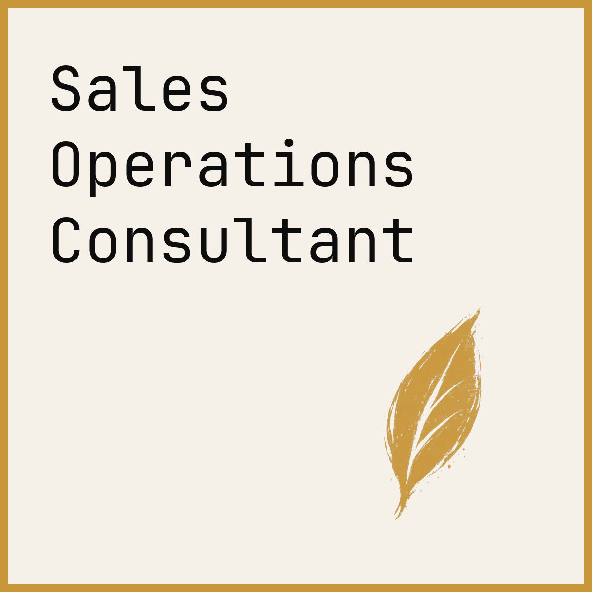 Sales Operations Consultant