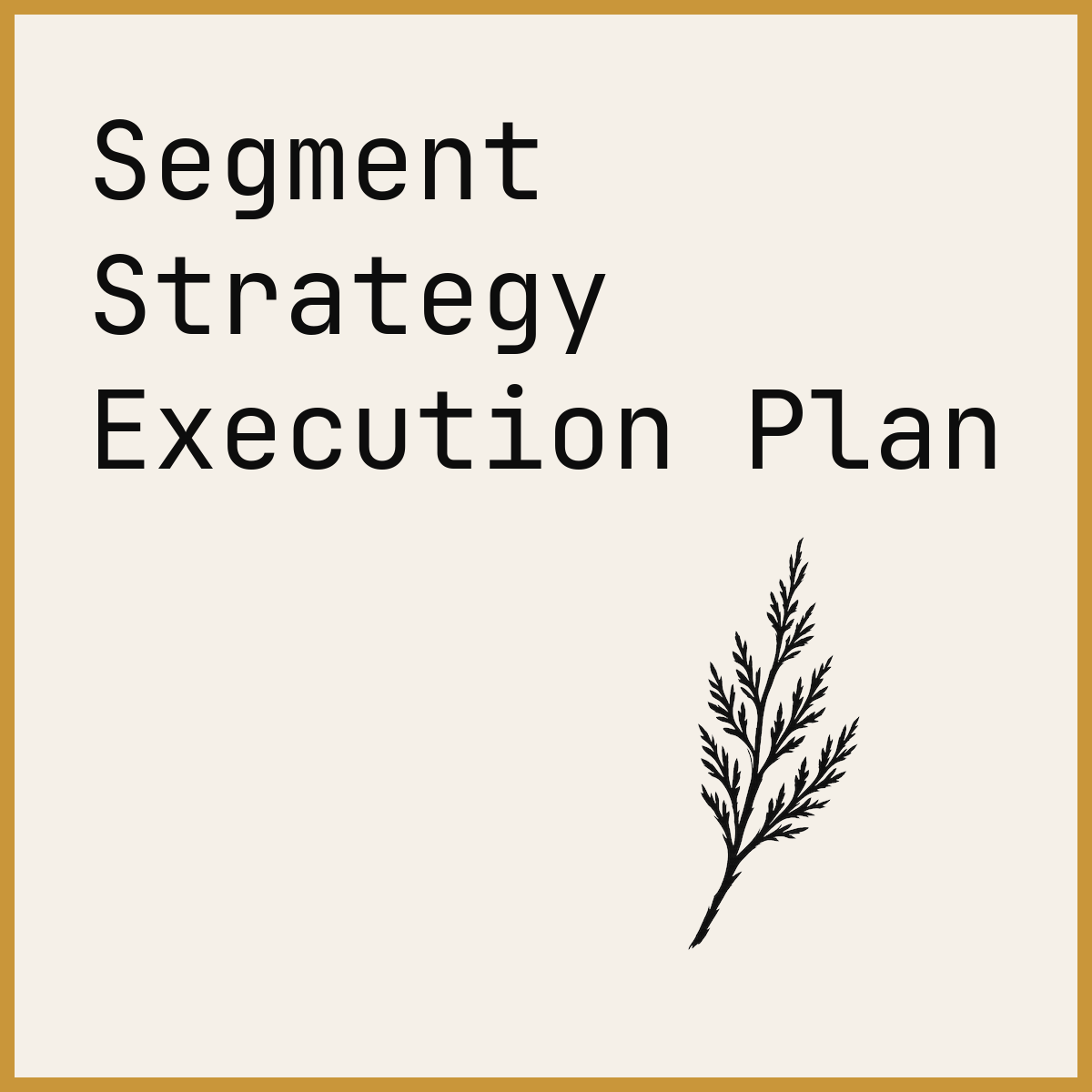 Segment Strategy Execution Plan