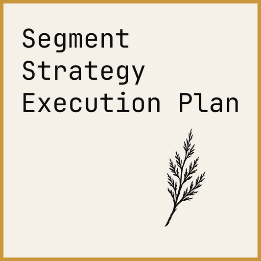Segment Strategy Execution Plan