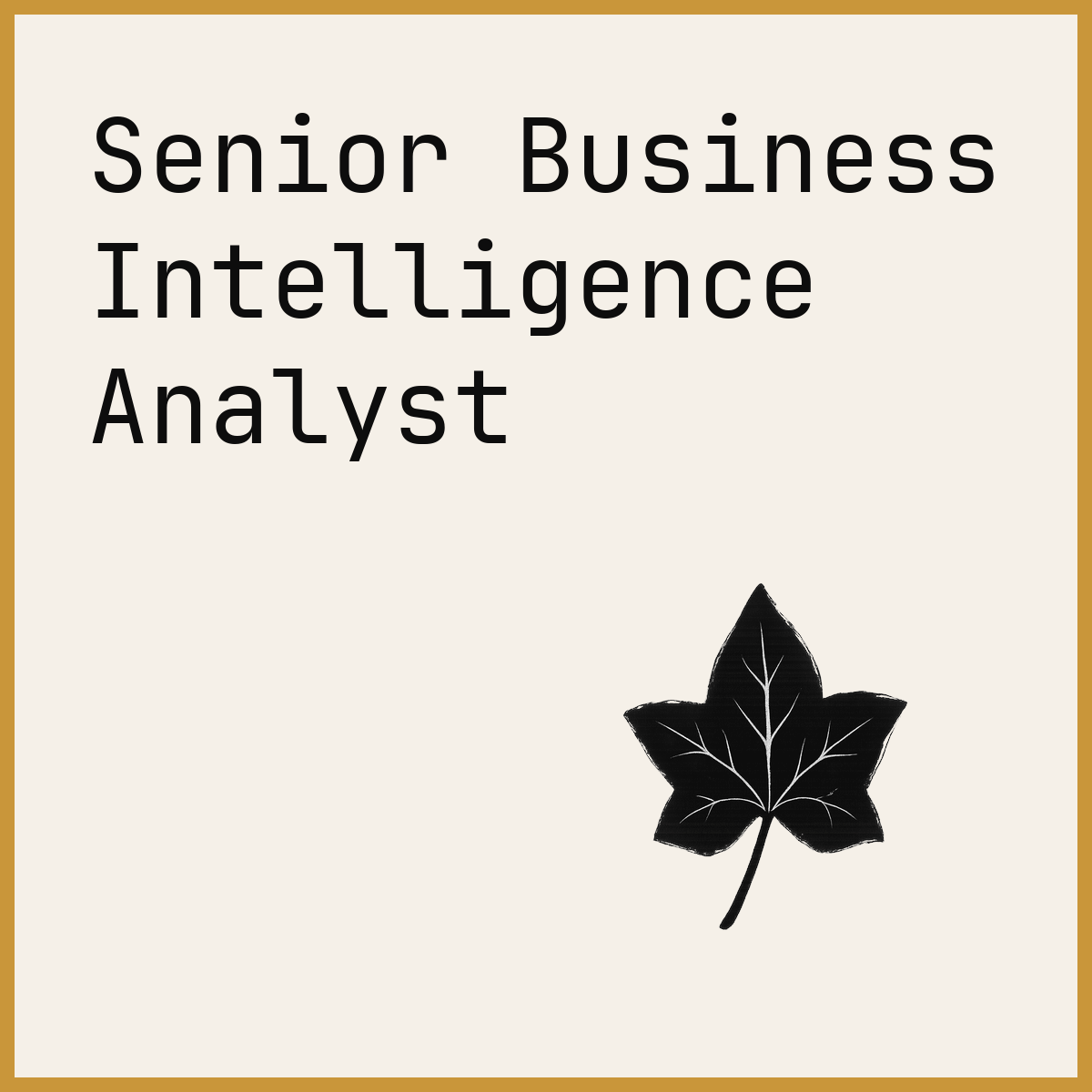 Senior Business Intelligence Analyst