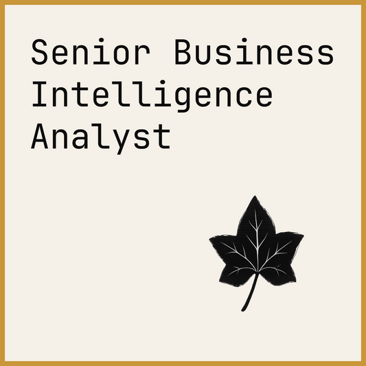 Senior Business Intelligence Analyst