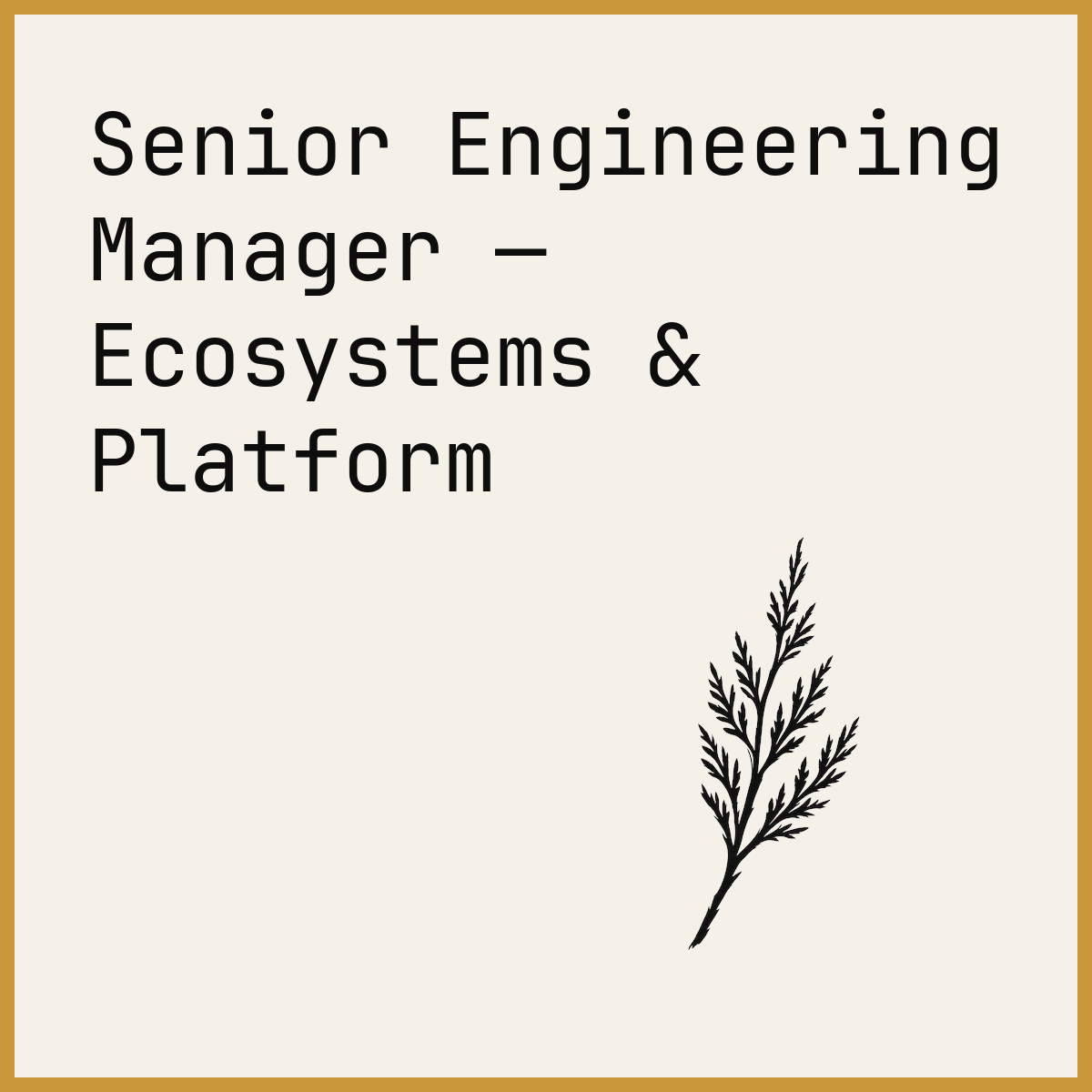 Senior Engineering Manager — Ecosystems & Platform