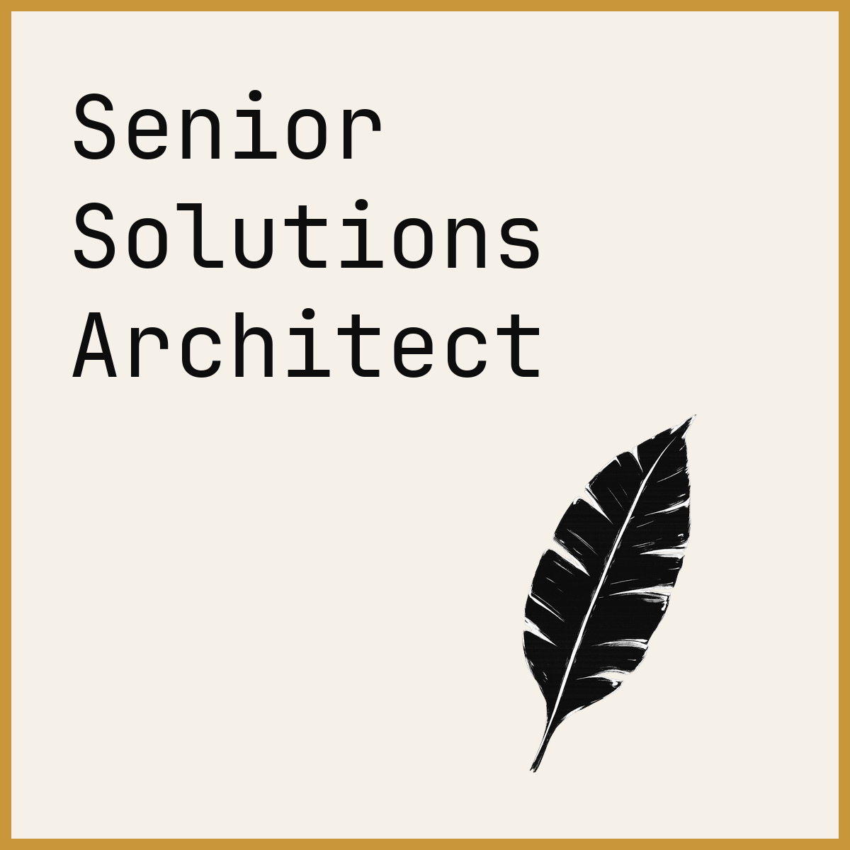 Senior Solutions Architect
