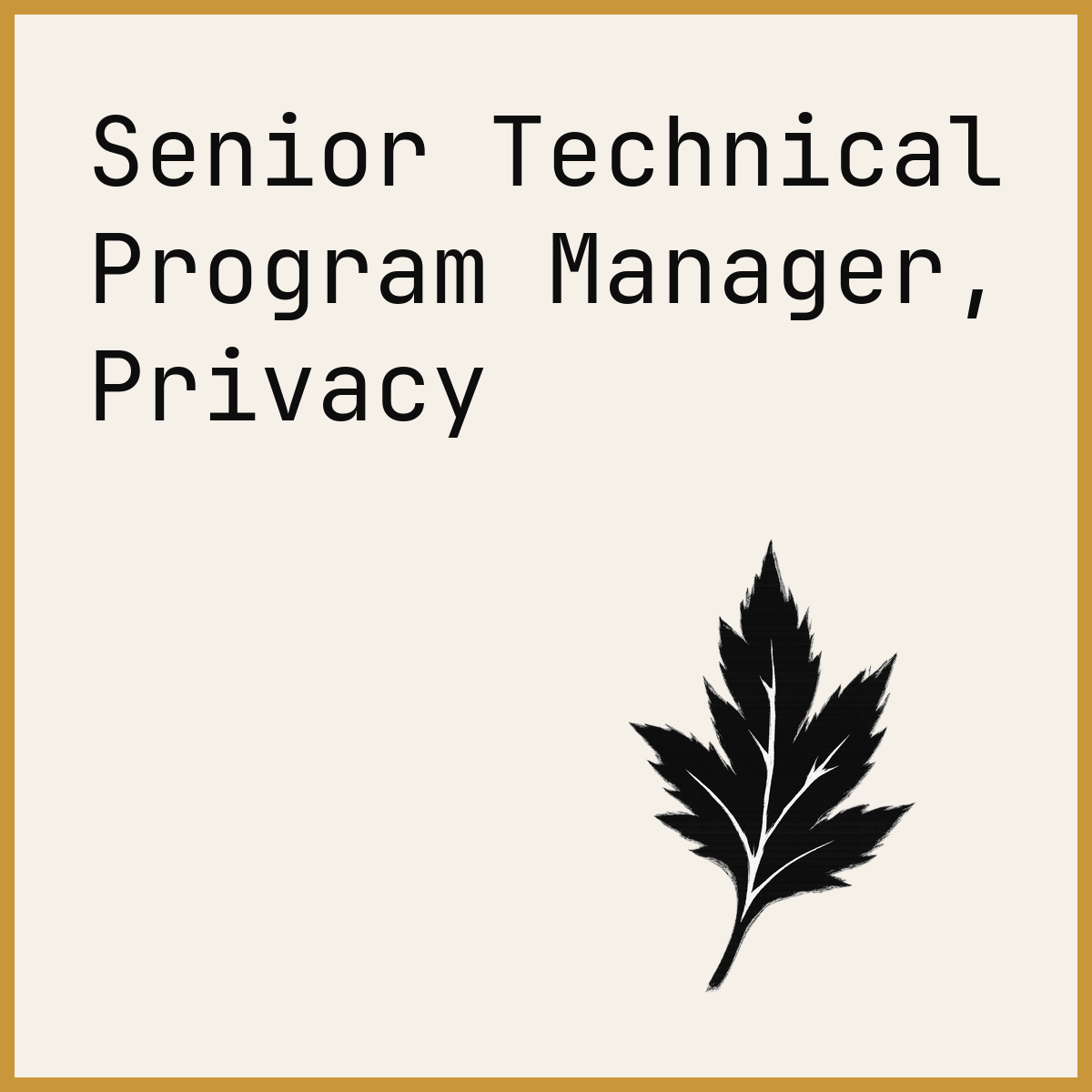 Senior Technical Program Manager, Privacy