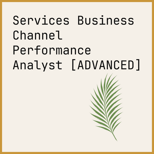 Services Business Channel Performance Analyst [ADVANCED]