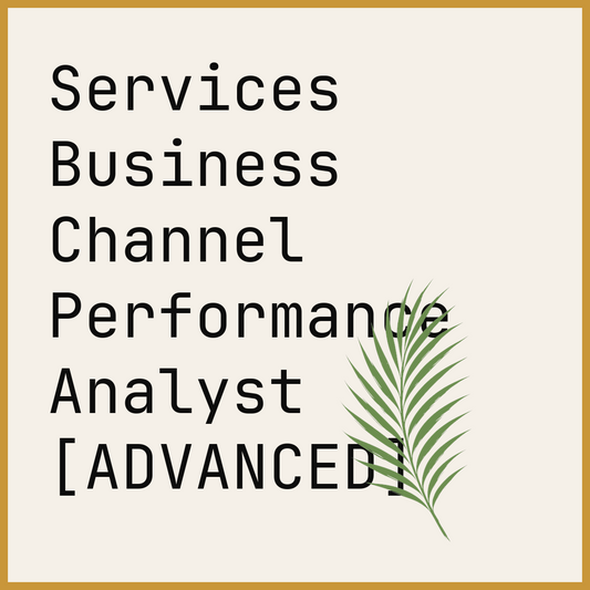 Services Business Channel Performance Analyst [ADVANCED]