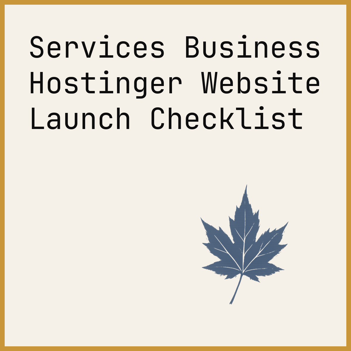 Services Business Hostinger Website Launch Checklist