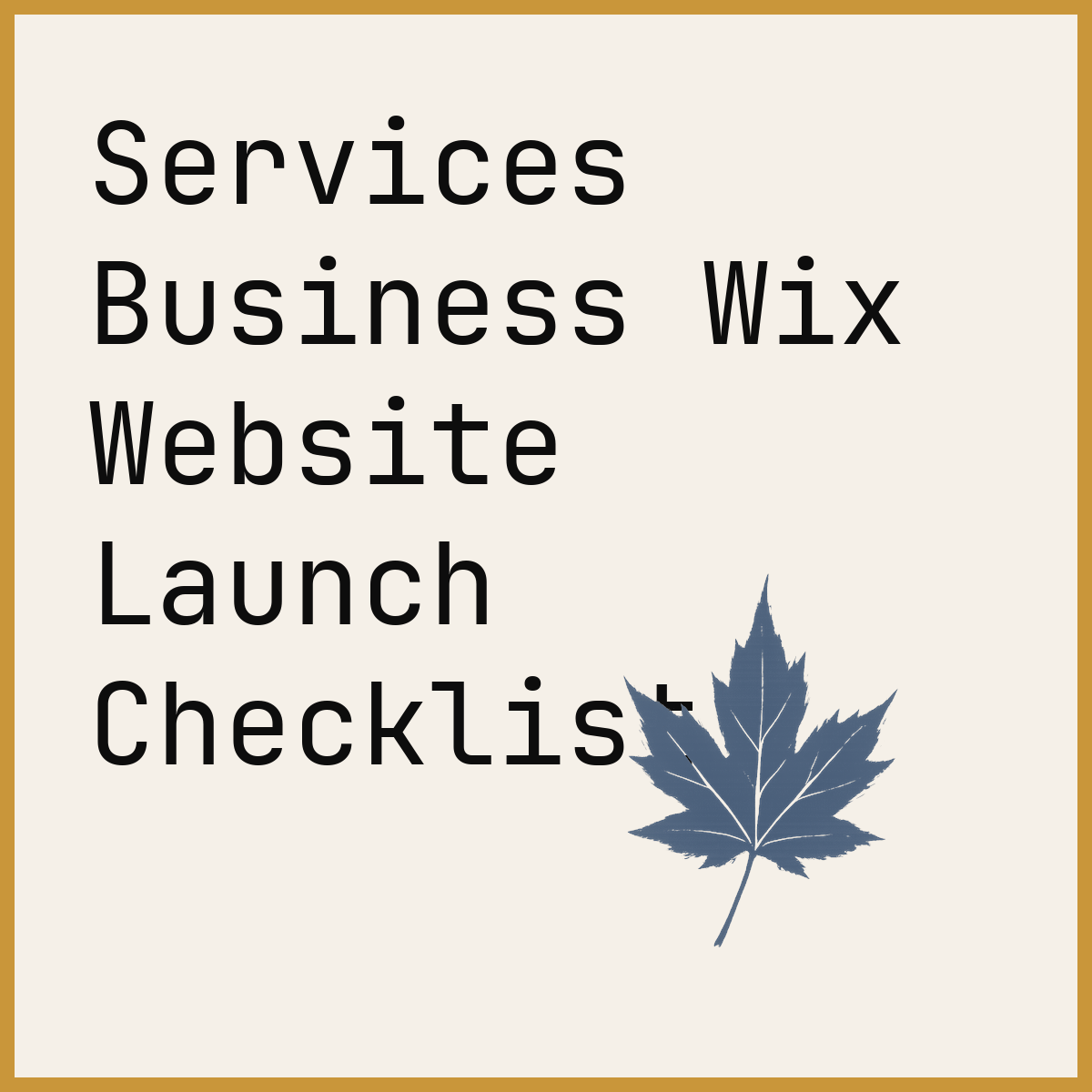 Services Business Wix Website Launch Checklist