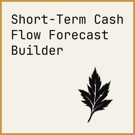 Short-Term Cash Flow Forecast Builder