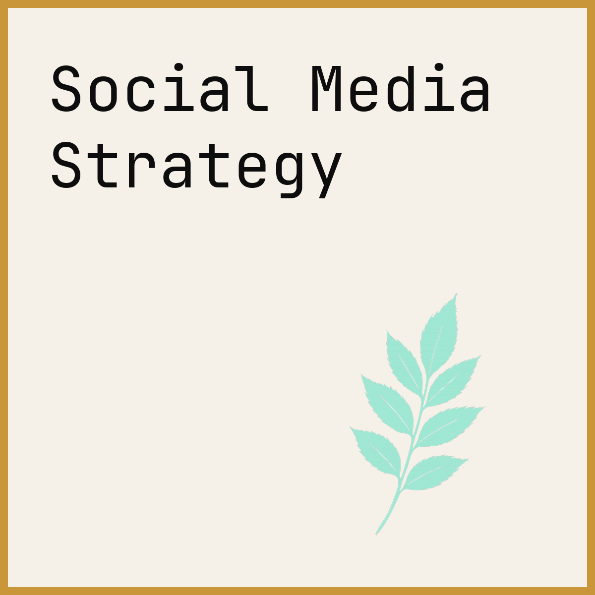 Social Media Strategy