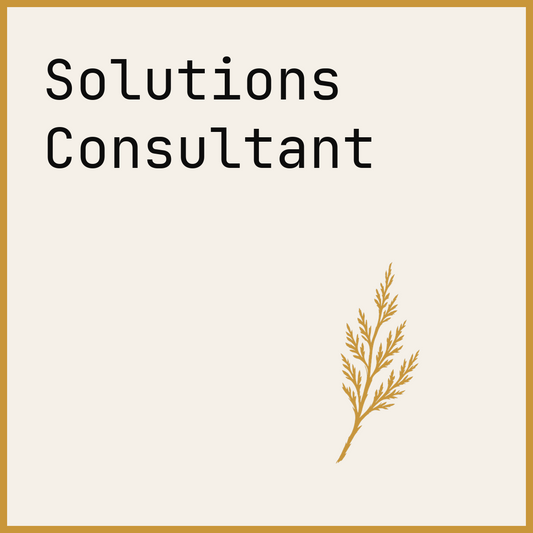 Solutions Consultant