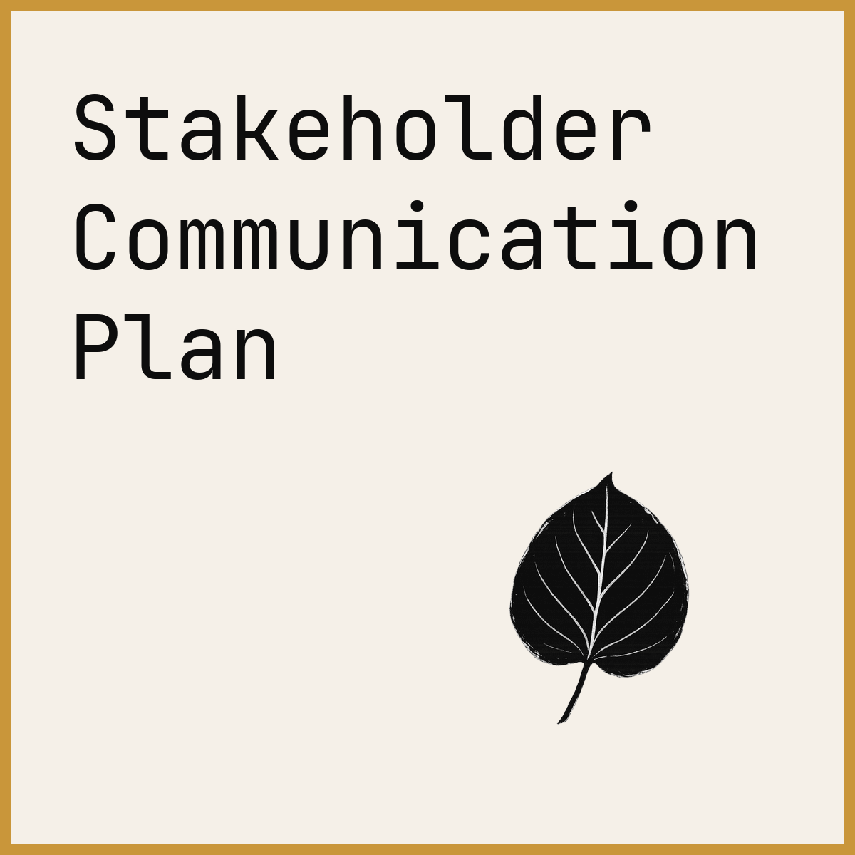 Stakeholder Communication Plan