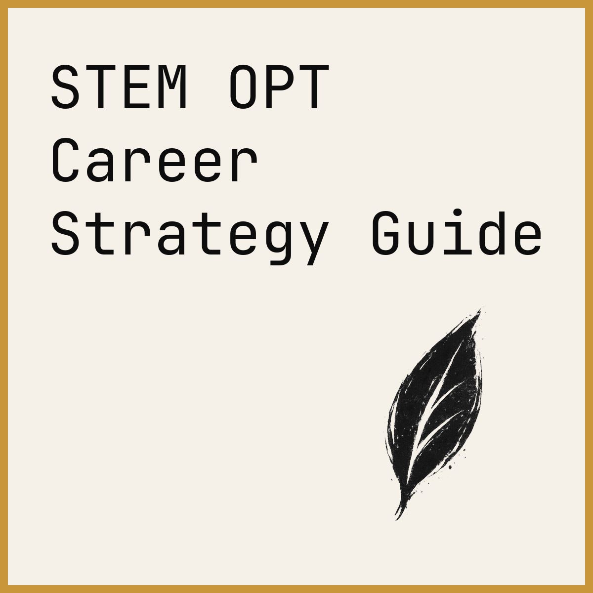 STEM OPT Career Strategy Guide