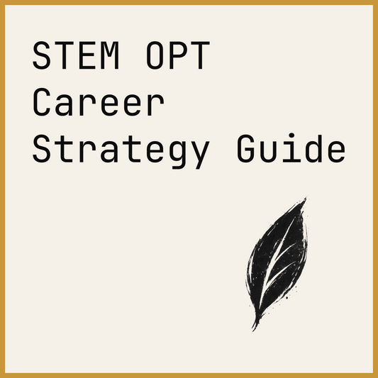 STEM OPT Career Strategy Guide