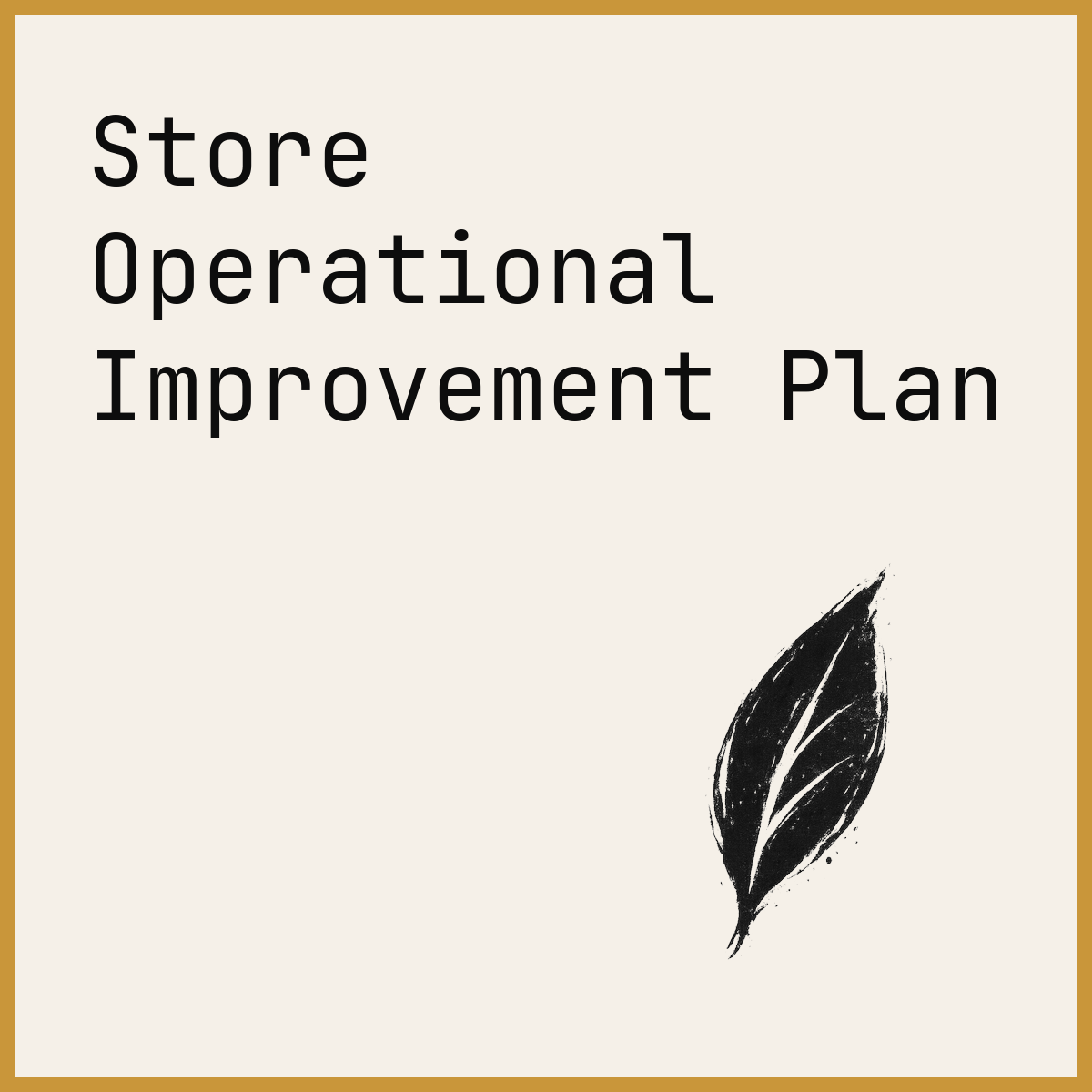 Store Operational Improvement Plan