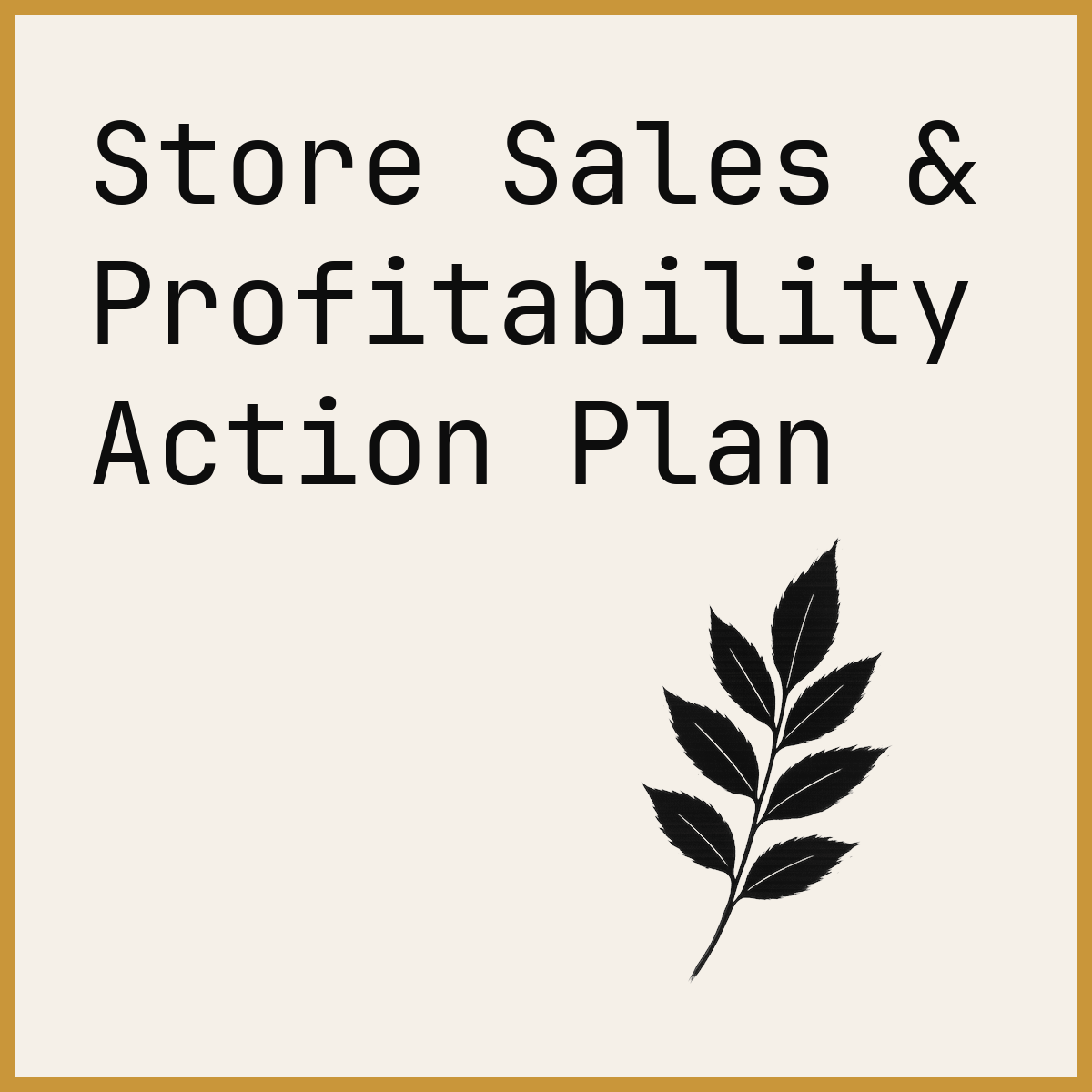 Store Sales & Profitability Action Plan