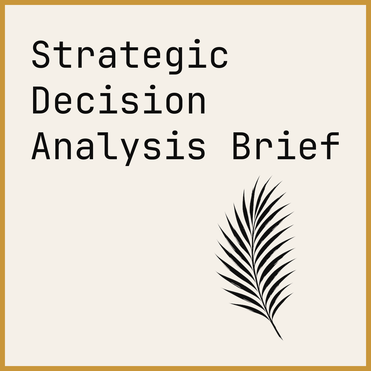 Strategic Decision Analysis Brief
