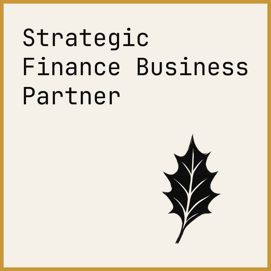 Strategic Finance Business Partner