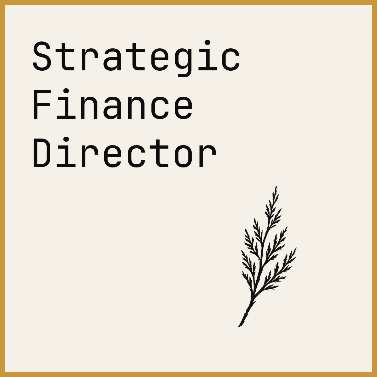 Strategic Finance Director